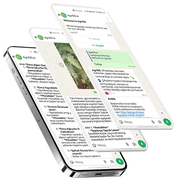 AgriGO.ai’nin resmî görselinde WhatsApp üzerinden kullanım örnekleri